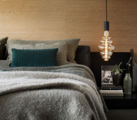 XXL SPECIAL ORGANIC PARIS LED BULBS