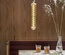 XXL SPECIAL ORGANIC LIDINGO LED BULBS