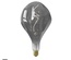 XXL SPECIAL ORGANIC EVO LED BULBS