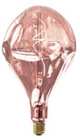XXL SPECIAL ORGANIC EVO LED BULBS
