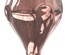 XXL SPECIAL ORGANIC EVO LED BULBS